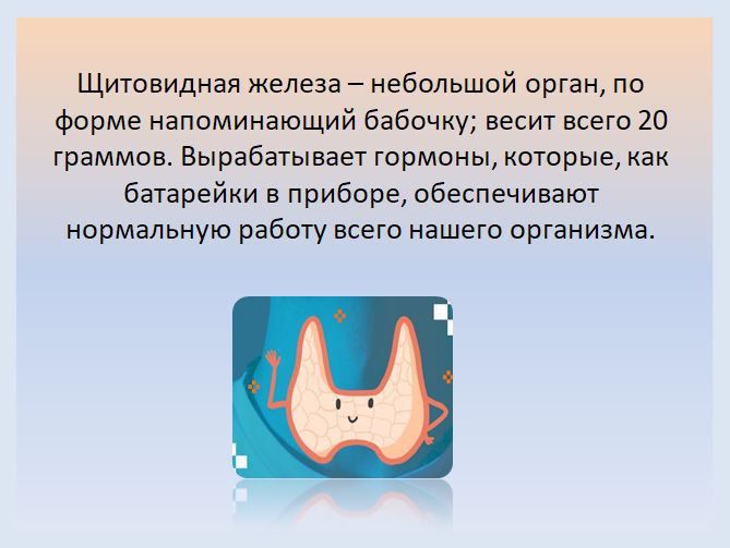 25  -    
