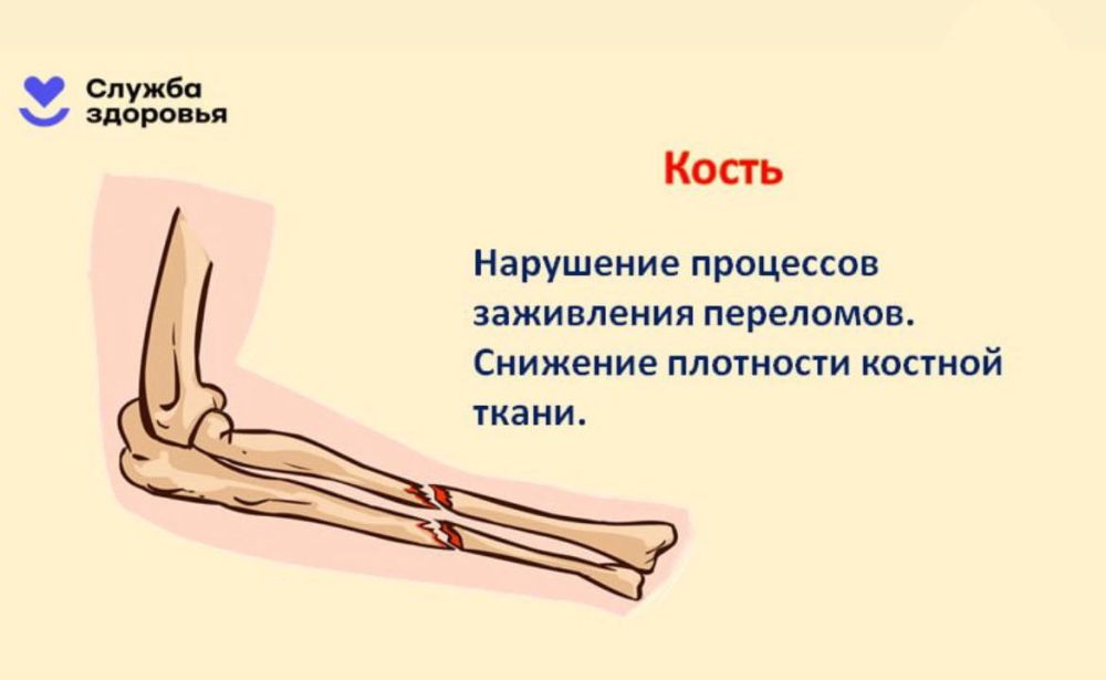 Алкоголь — главная угроза здоровью Алкоголь — главная угроза здоровью