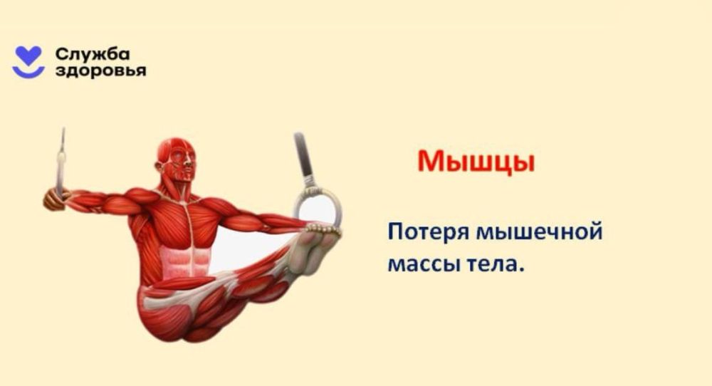 Алкоголь — главная угроза здоровью Алкоголь — главная угроза здоровью