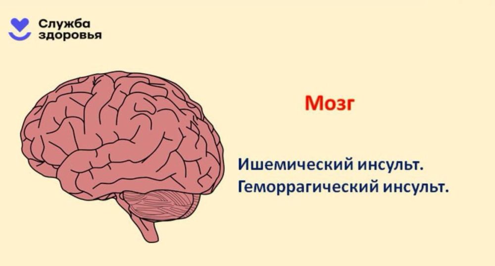 Алкоголь — главная угроза здоровью Алкоголь — главная угроза здоровью