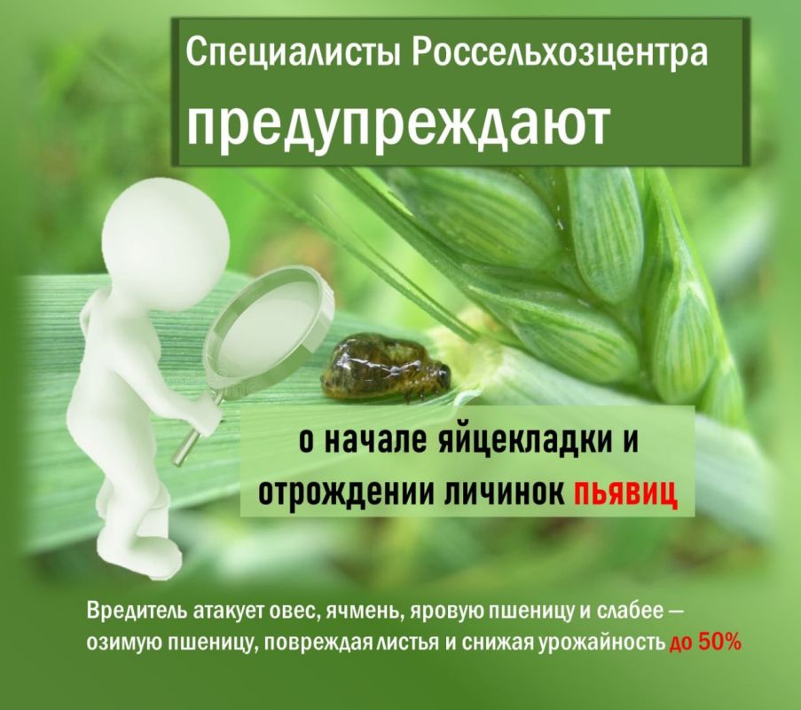 Продажа билетов на новое представление в луганском цирке будет осуществляться как онлайн, так и в кассах цирка Продажа билетов на новое представление в луганском цирке будет осуществляться как онлайн, так и в кассах цирка