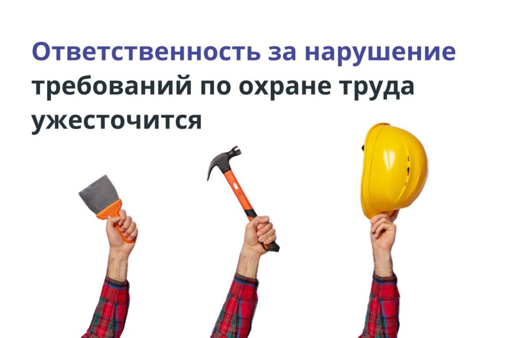  :      ,             - 
