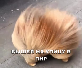      8-13 /