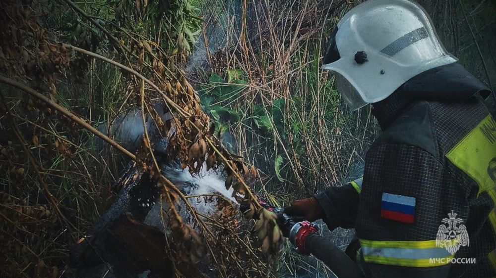 Предупреждён – значит вооружён Предупреждён – значит вооружён