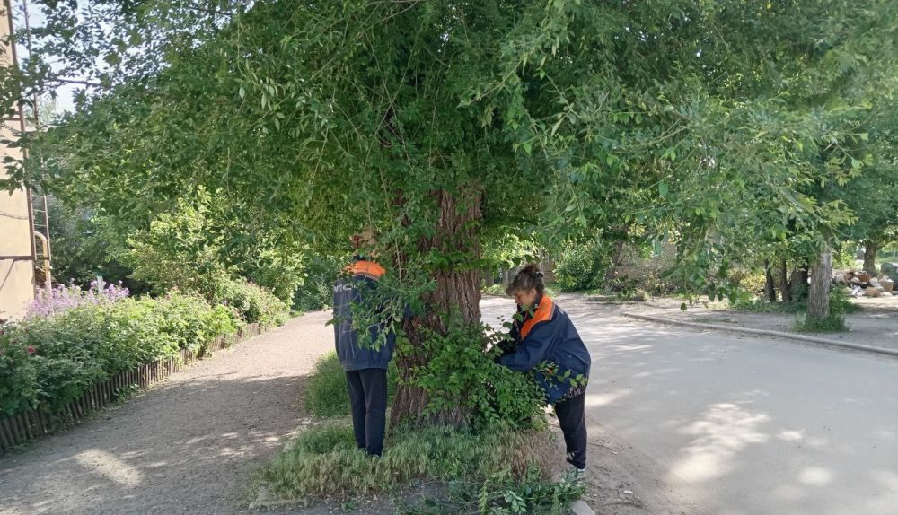 Уборка города – каждодневная работа Уборка города – каждодневная работа