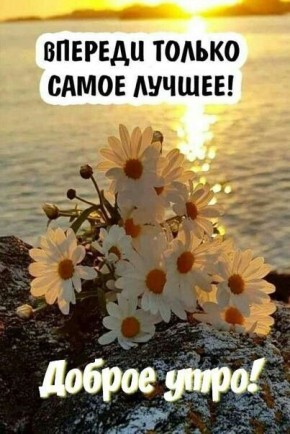   !        !