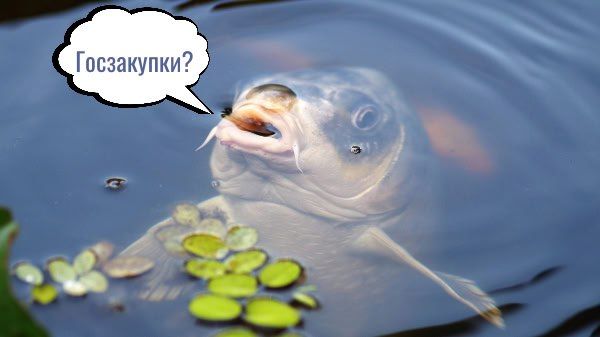 Успейте зарегистрироваться на VIII Международный фотоконкурс «Русская цивилизация» Успейте зарегистрироваться на VIII Международный фотоконкурс «Русская цивилизация»
