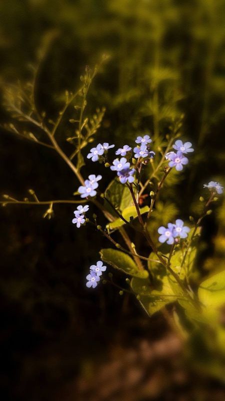 Синоптики прогнозируют 29 мая в ЛНР от 11 градусов выше нуля ночью до 26 градусов тепла днем, местами пройдет небольшой дождь, сообщила пресс-служба Главного управления МЧС по ЛНР