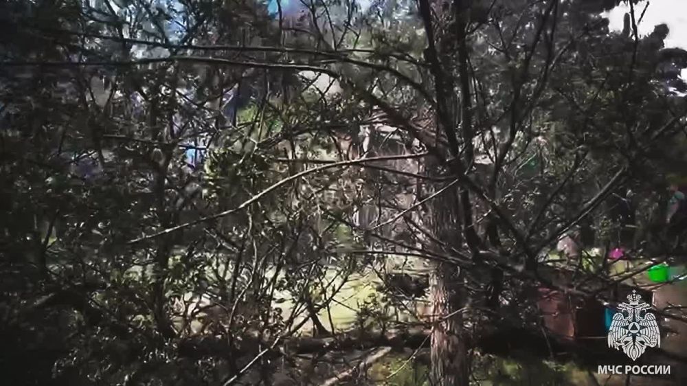 Спасатели МЧС России ликвидировали пожар в пгт