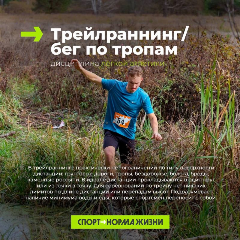 Бег по пересеченной местности, скайраннинг, горный бег, трейлраннинг — все это разные дисциплины Бег по пересеченной местности, скайраннинг, горный бег, трейлраннинг — все это разные дисциплины