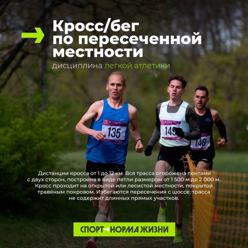 Бег по пересеченной местности, скайраннинг, горный бег, трейлраннинг — все это разные дисциплины Бег по пересеченной местности, скайраннинг, горный бег, трейлраннинг — все это разные дисциплины