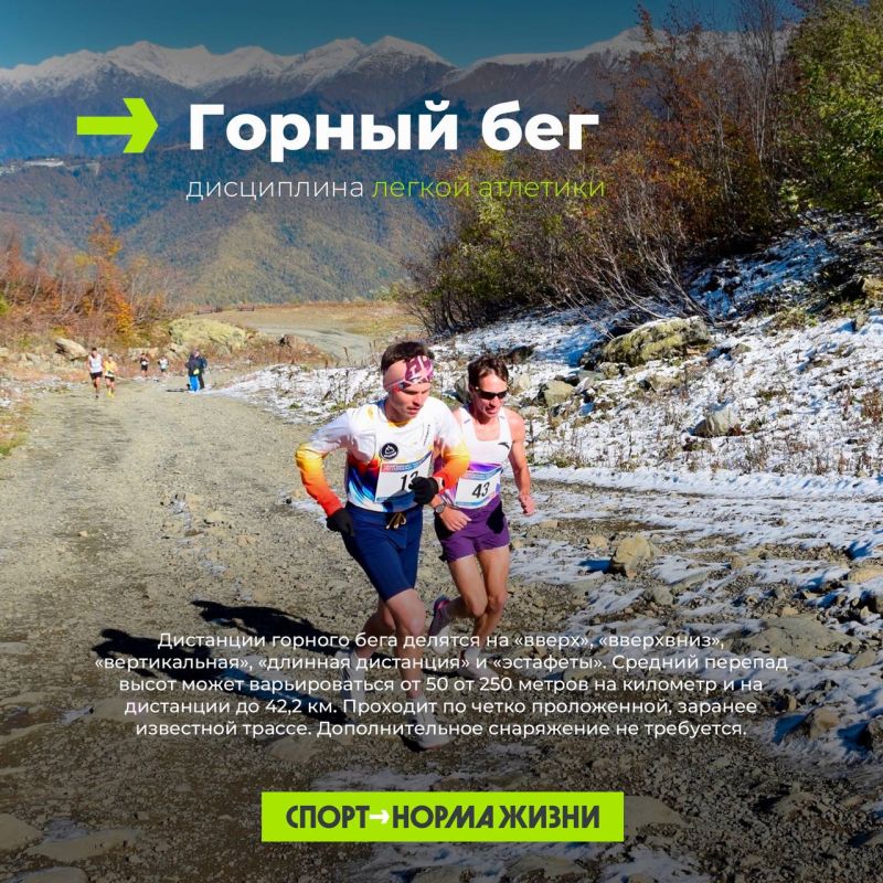 Бег по пересеченной местности, скайраннинг, горный бег, трейлраннинг — все это разные дисциплины Бег по пересеченной местности, скайраннинг, горный бег, трейлраннинг — все это разные дисциплины