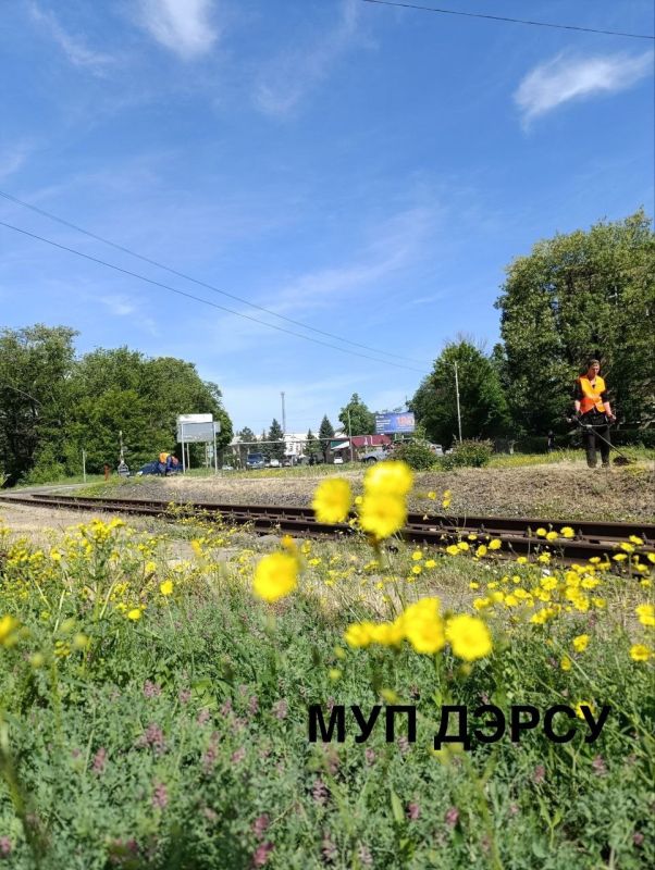 За период с 26 по 30 мая работниками МУП "ДЭРСУ" было выполнено : За период с 26 по 30 мая работниками МУП "ДЭРСУ" было выполнено :
