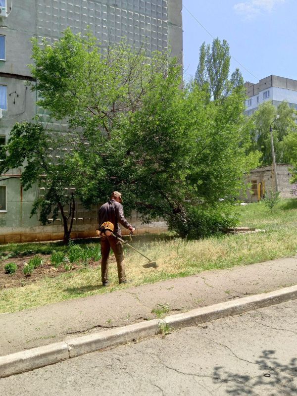 Сегодня коммунальщиками проведены работы по покосу травы по следующим адресам: Сегодня коммунальщиками проведены работы по покосу травы по следующим адресам: