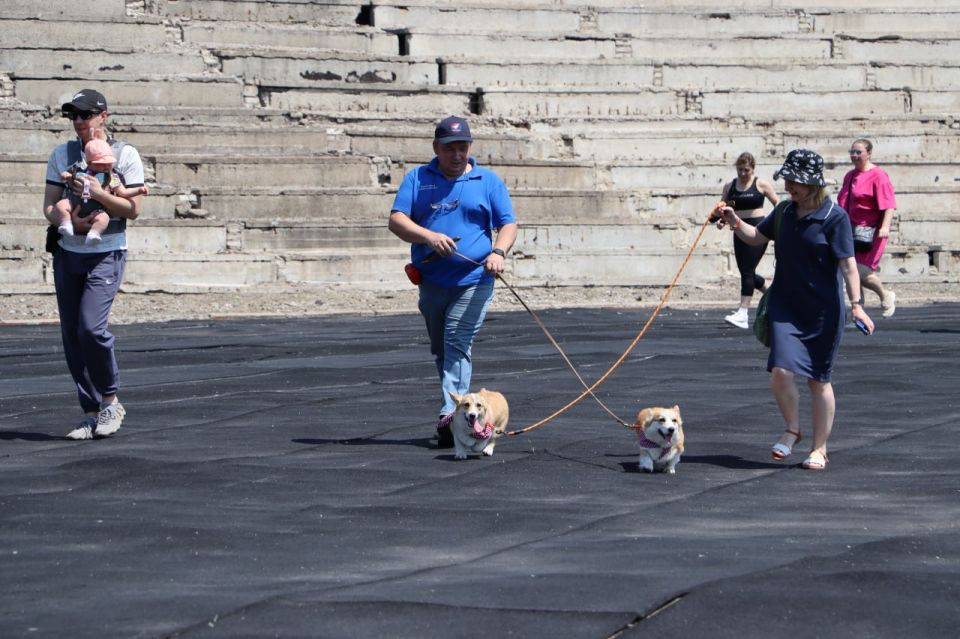 "Беги вместо меня": в Стаханове прошёл благотворительный забег в поддержку детей с ОВЗ "Беги вместо меня": в Стаханове прошёл благотворительный забег в поддержку детей с ОВЗ