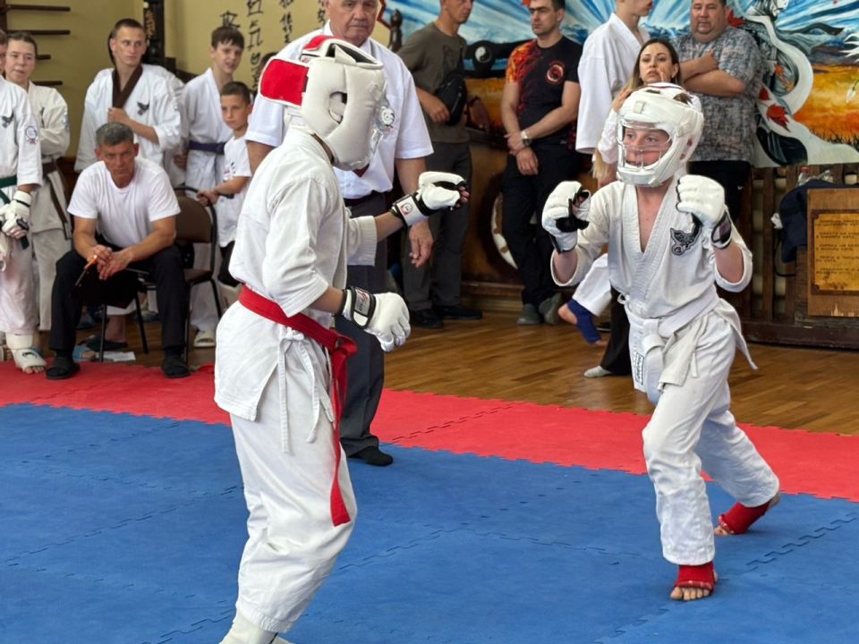 На базе Лутугинской спортивной школы состоялся масштабный Фестиваль и Республиканский турнир по всестилевому каратэ На базе Лутугинской спортивной школы состоялся масштабный Фестиваль и Республиканский турнир по всестилевому каратэ