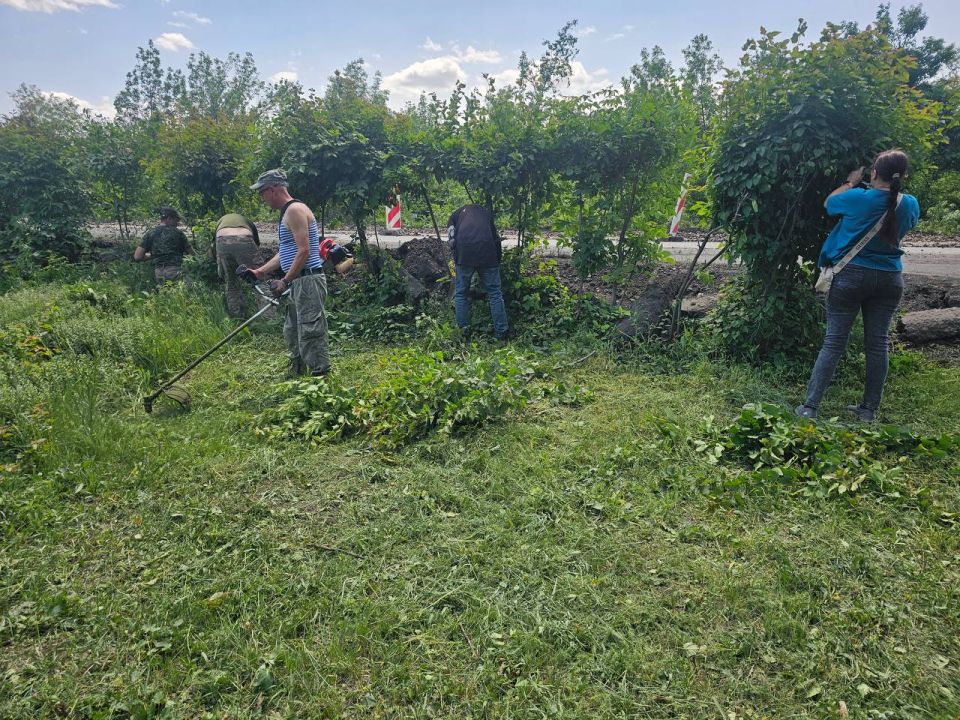 Важным мероприятием в плане благоустройства территории является своевременный и регулярный покос травы Важным мероприятием в плане благоустройства территории является своевременный и регулярный покос травы