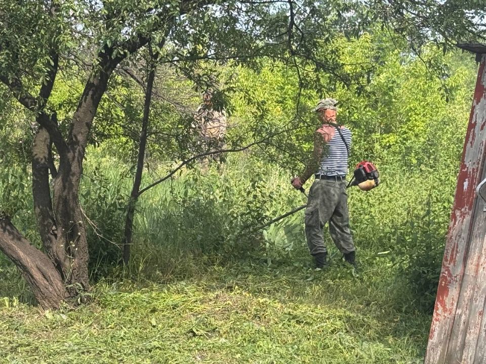 Важным мероприятием в плане благоустройства территории является своевременный и регулярный покос травы Важным мероприятием в плане благоустройства территории является своевременный и регулярный покос травы