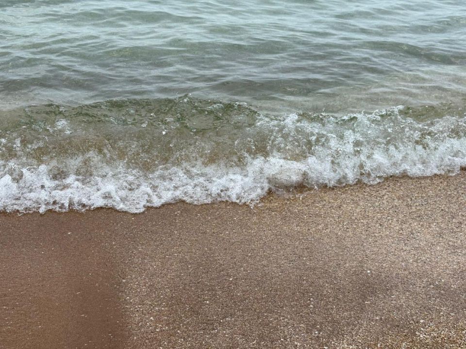 Алтай организовал отдых ребят из Славяносербска на море Алтай организовал отдых ребят из Славяносербска на море