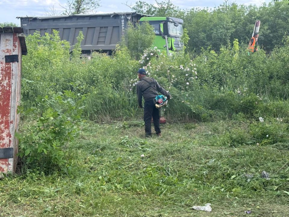 Важным мероприятием в плане благоустройства территории является своевременный и регулярный покос травы Важным мероприятием в плане благоустройства территории является своевременный и регулярный покос травы