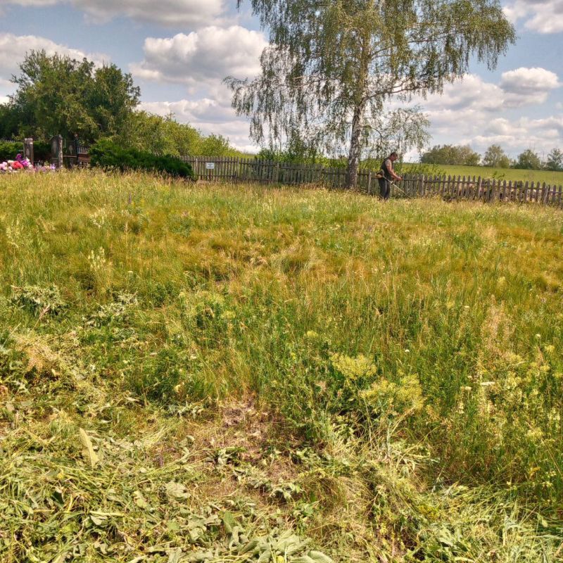 В Белокуракинском муниципальном округе отделы обеспечения жизнедеятельности населенных пунктов муниципалитета продолжают активно работать над облагораживанием своих территорий В Белокуракинском муниципальном округе отделы обеспечения жизнедеятельности населенных пунктов муниципалитета продолжают активно работать над облагораживанием своих территорий