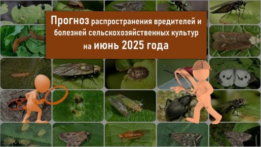           2025 