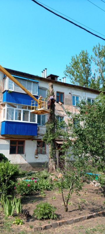 Виктория Сергеева: Коммунальщики в действии. В Кировске продолжается покос травы, спил и обрезка аварийных деревьев, а также уборка территории Виктория Сергеева: Коммунальщики в действии. В Кировске продолжается покос травы, спил и обрезка аварийных деревьев, а также уборка территории