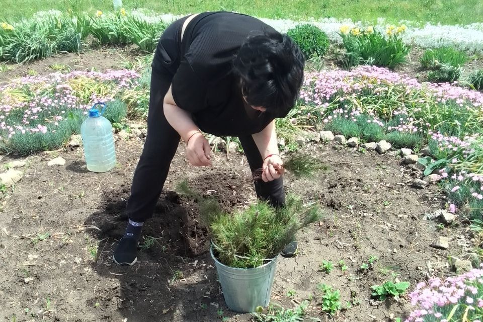 Дом, где мы живем должен быть красивым! Дом, где мы живем должен быть красивым!