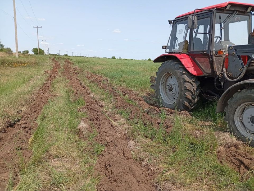 В пгт Нагольно-Тарасовка продолжаются работы по обустройству минерализованных полос для предотвращения ландшафтных пожаров В пгт Нагольно-Тарасовка продолжаются работы по обустройству минерализованных полос для предотвращения ландшафтных пожаров