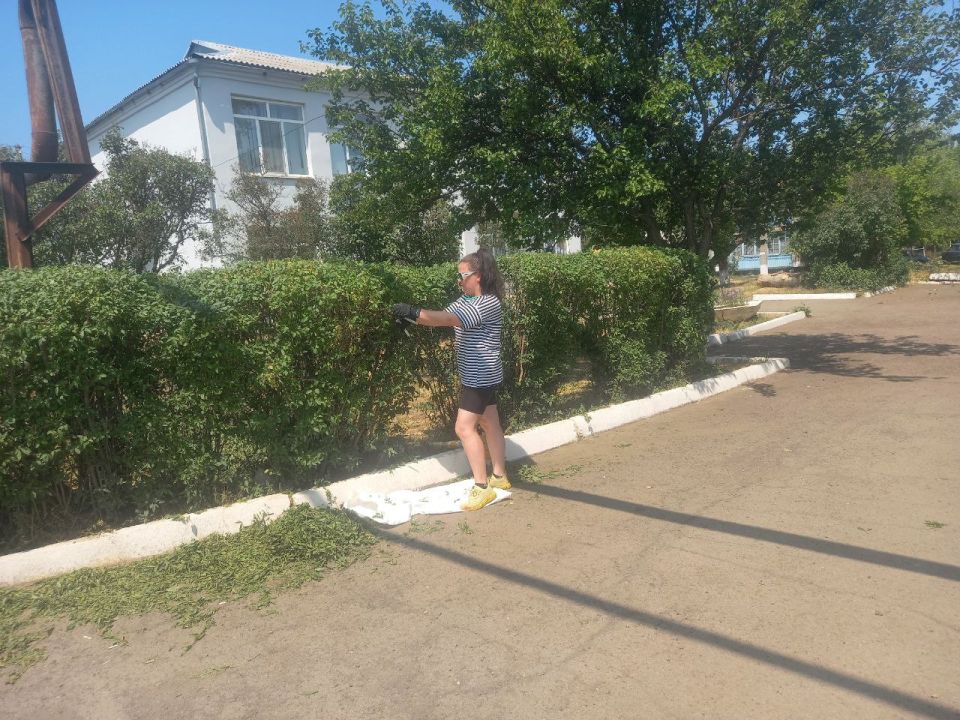 В селе Власовка провели работы по благоустройству В селе Власовка провели работы по благоустройству