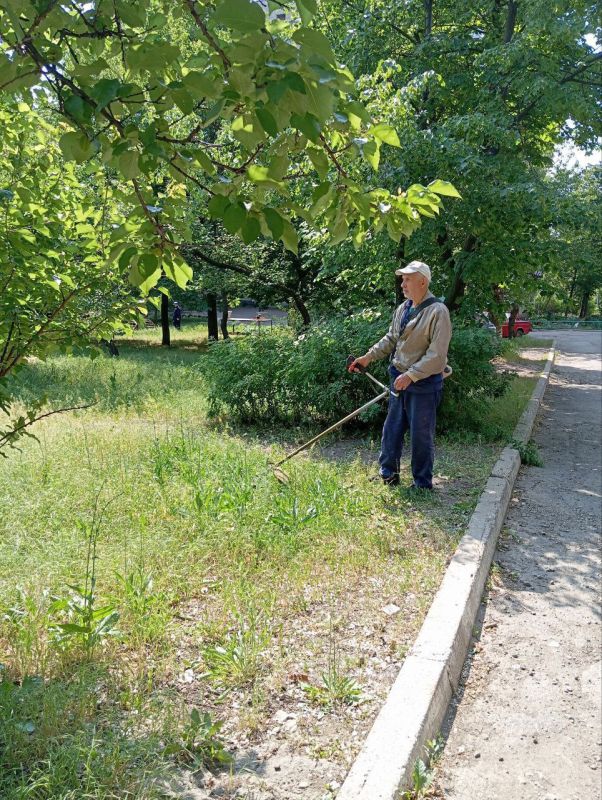 Пятница в деле. Сегодня коммунальные службы продолжали покос травы Пятница в деле. Сегодня коммунальные службы продолжали покос травы