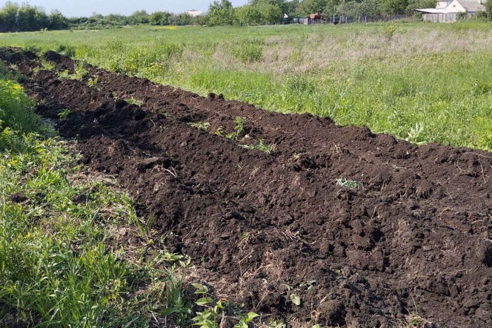 В селе Александровка произведена опашка противопожарных минерализованных полос В селе Александровка произведена опашка противопожарных минерализованных полос