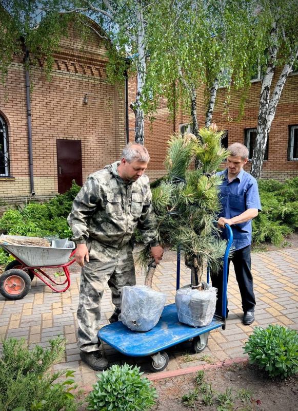 Храмы республики присоединились к акции «Сад Памяти» Храмы республики присоединились к акции «Сад Памяти»