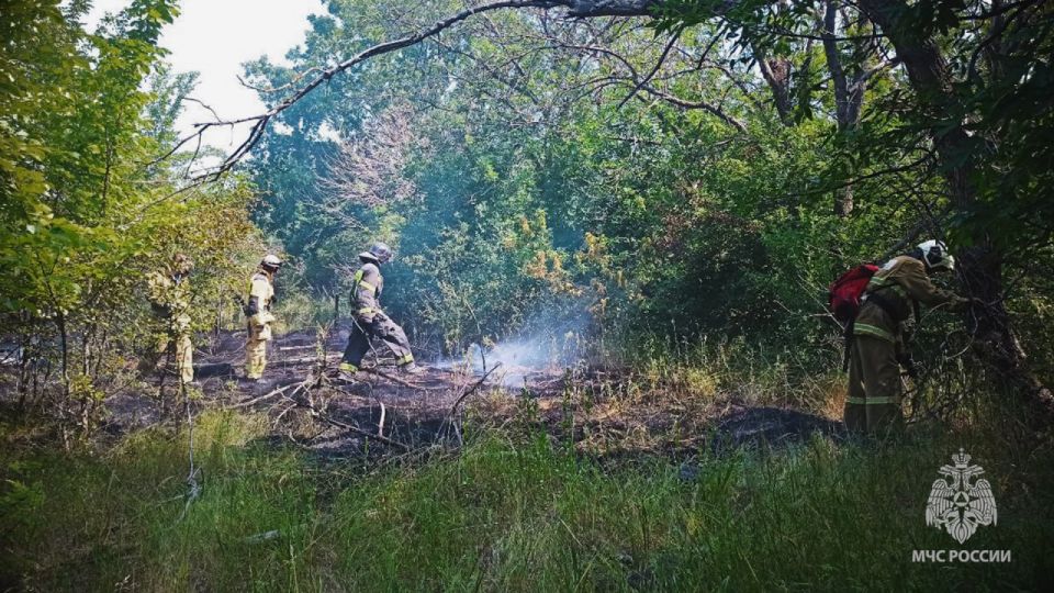 О ландшафтных пожарах на территории Республики О ландшафтных пожарах на территории Республики