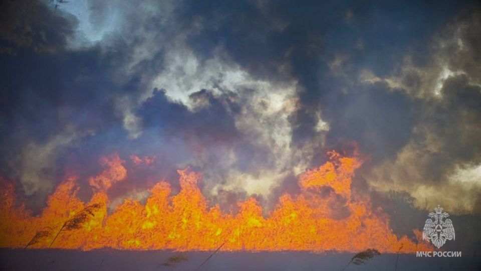 За прошедшие выходные спасатели ликвидировали 47 пожаров в Республике За прошедшие выходные спасатели ликвидировали 47 пожаров в Республике