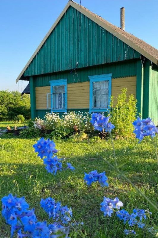 Доброе утро Доброе утро