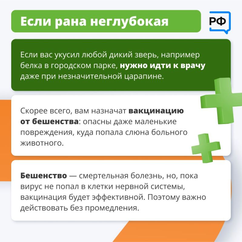 Дикие животные редко нападают на людей без причины Дикие животные редко нападают на людей без причины