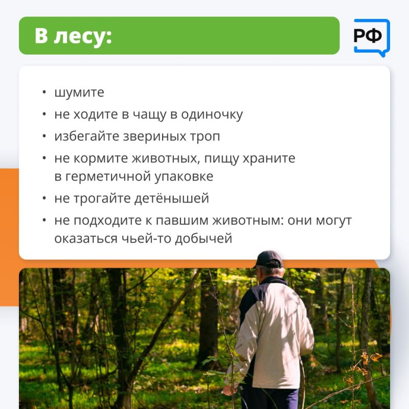 Дикие животные редко нападают на людей без причины Дикие животные редко нападают на людей без причины