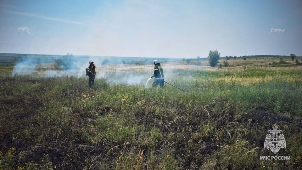 За последние сутки в Республике сгорело более 8 гектаров сухостоя За последние сутки в Республике сгорело более 8 гектаров сухостоя