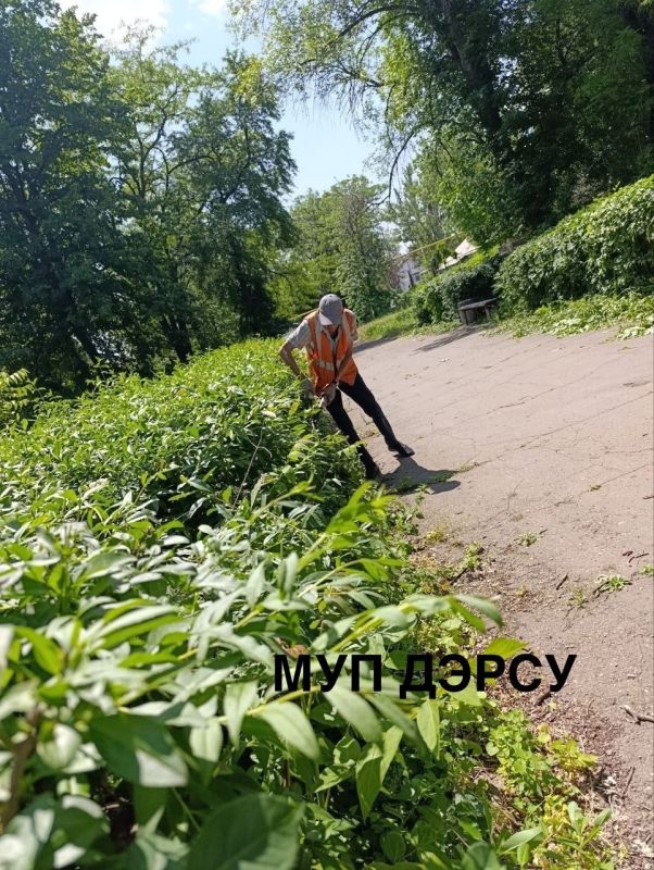 За период со 2 по 6 июня работниками МУП "ДЭРСУ" были выполнены следующие работы: За период со 2 по 6 июня работниками МУП "ДЭРСУ" были выполнены следующие работы: