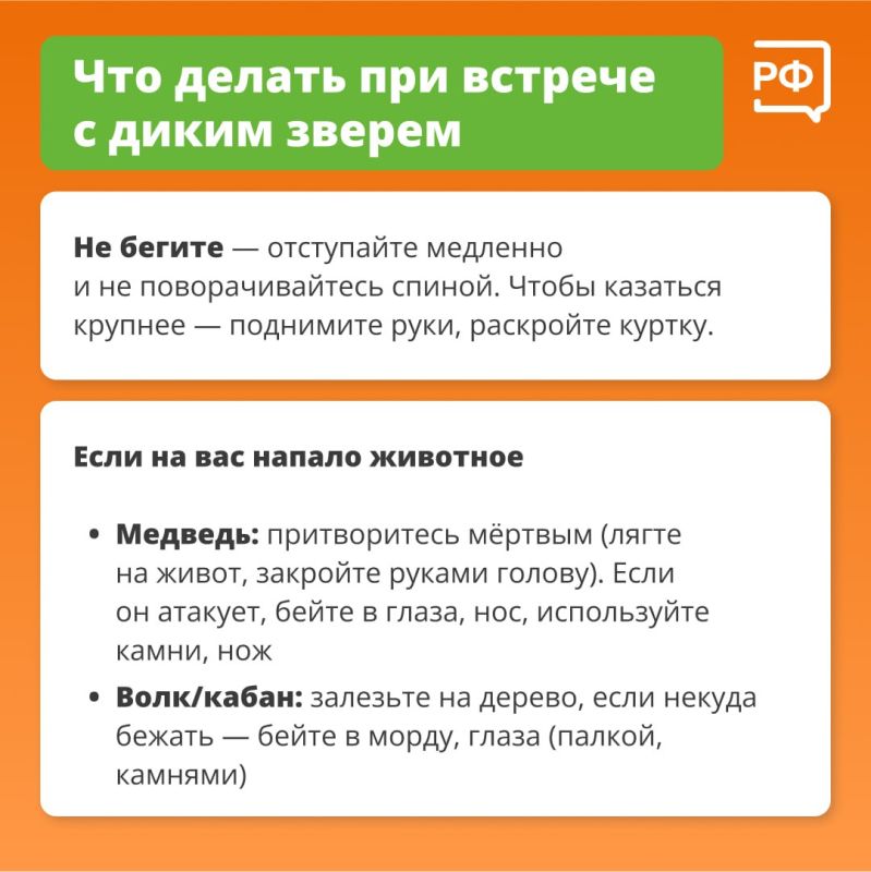 Дикие животные редко нападают на людей без причины Дикие животные редко нападают на людей без причины