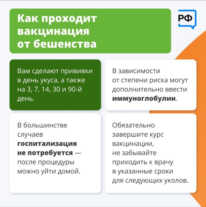 Дикие животные редко нападают на людей без причины Дикие животные редко нападают на людей без причины