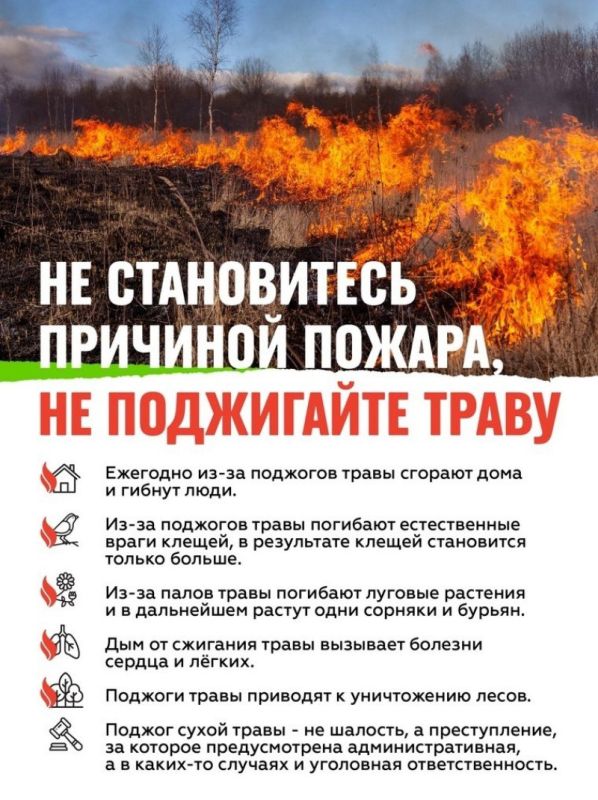 Памятка населению по недопущению пала (выжигания) сухой травы! Памятка населению по недопущению пала (выжигания) сухой травы!