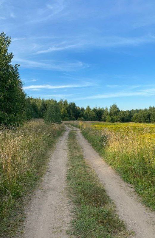 Доброе утро Доброе утро