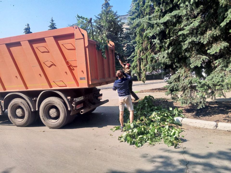 Андрей Рубанцов: В рамках заключённого контракта с подрядной организацией на улице Ленина проводятся работы по вырубке самосевной поросли деревьев Андрей Рубанцов: В рамках заключённого контракта с подрядной организацией на улице Ленина проводятся работы по вырубке самосевной поросли деревьев
