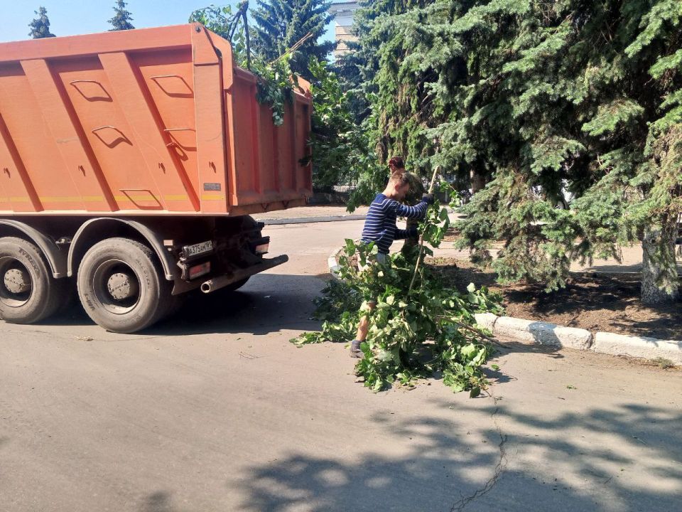 В рамках заключённого контракта с подрядной организацией на улице Ленина проводятся работы по вырубке самосевной поросли В рамках заключённого контракта с подрядной организацией на улице Ленина проводятся работы по вырубке самосевной поросли