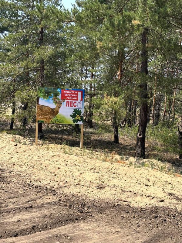 С наступлением пожароопасного сезона лесоохотничьи хозяйства Республики провели устройство и прочистку более 3,8 тыс С наступлением пожароопасного сезона лесоохотничьи хозяйства Республики провели устройство и прочистку более 3,8 тыс