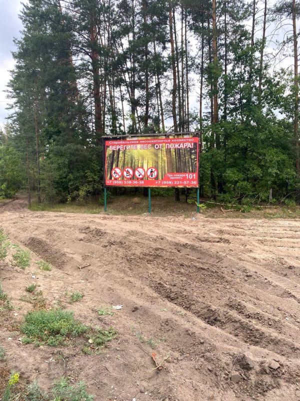 С наступлением пожароопасного сезона лесоохотничьи хозяйства Республики провели устройство и прочистку более 3,8 тыс С наступлением пожароопасного сезона лесоохотничьи хозяйства Республики провели устройство и прочистку более 3,8 тыс