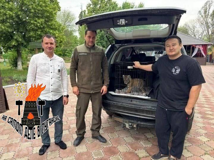 Рубрика "Полосатые новости" Рубрика "Полосатые новости"