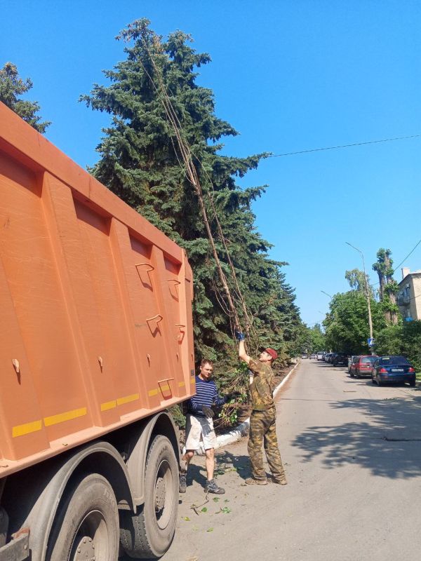 Андрей Рубанцов: В рамках заключённого контракта с подрядной организацией на улице Ленина проводятся работы по вырубке самосевной поросли деревьев Андрей Рубанцов: В рамках заключённого контракта с подрядной организацией на улице Ленина проводятся работы по вырубке самосевной поросли деревьев